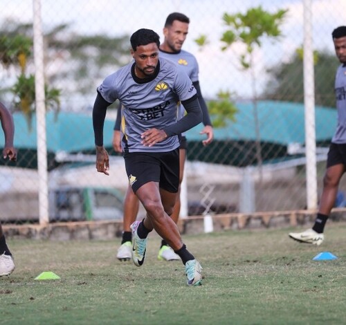 Série B do Brasileiro: onde assistir ao vivo jogo Novorizontino x Criciúma