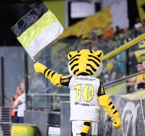 Criciúma divulga ações para celebrar os 78 anos do clube