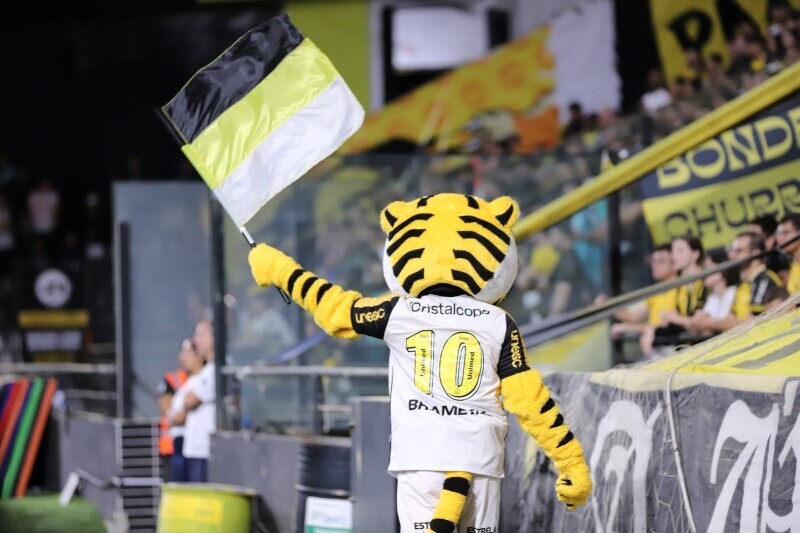 Criciúma divulga ações para celebrar os 78 anos do clube