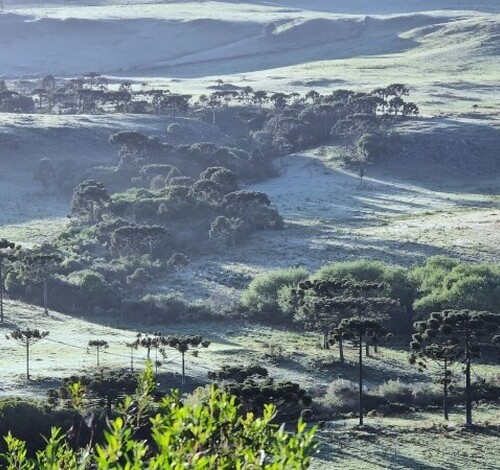 Santa Catarina pode registrar primeira neve de 2025 nesta semana