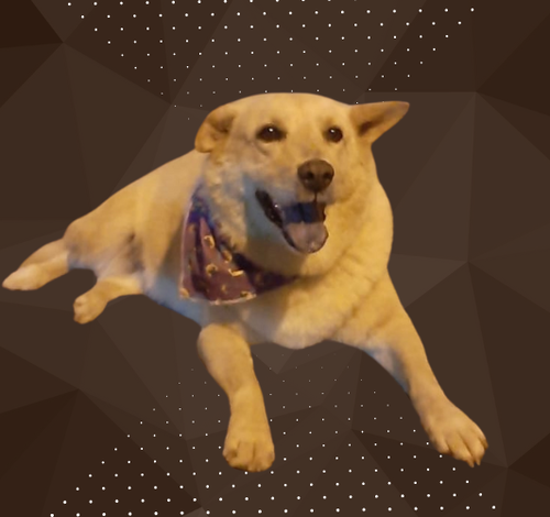 'Encontro de Caramelos' em Criciúma