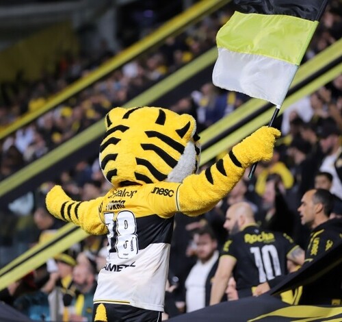 Criciúma x Avaí: ingressos e onde assistir ao vivo jogo da Série B