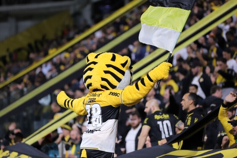 Criciúma x Avaí: ingressos e onde assistir ao vivo jogo da Série B