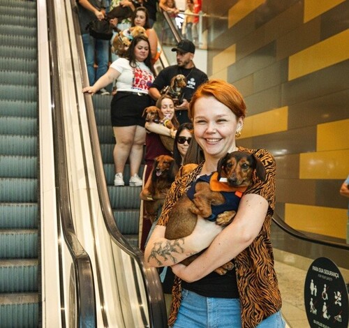 Encontro de Salsichas & Beagles no Nações Shopping