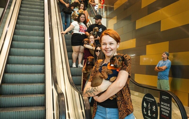 Encontro de Salsichas & Beagles no Nações Shopping