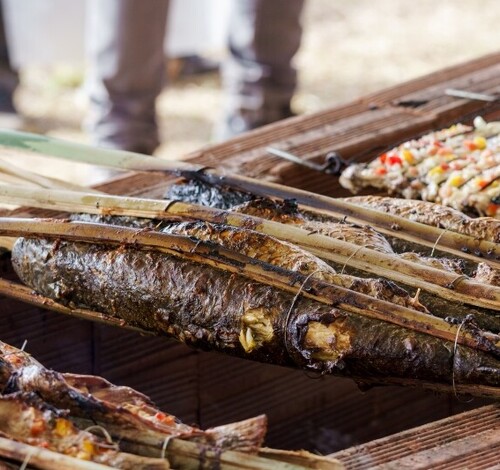 Tradição e sabores na Festa da Tainha
