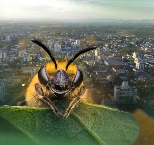 1ª Techstars Startup Weekend em Içara