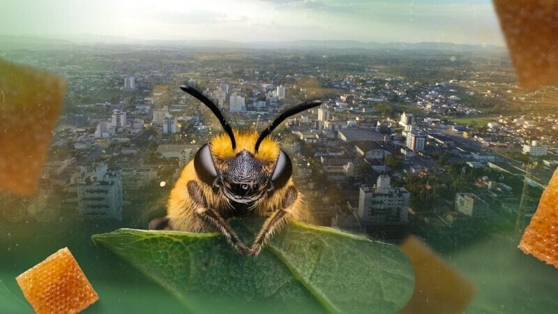 1ª Techstars Startup Weekend em Içara