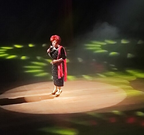 Nany People emociona e diverte público com espetáculo TsuNany em Criciúma