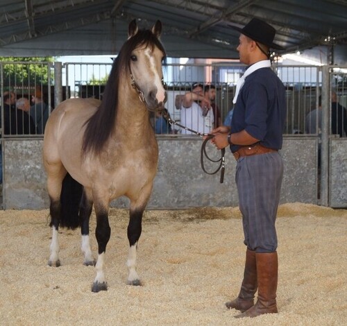 AgroPonte transforma Criciúma na capital do agronegócio em Santa Catarina 
