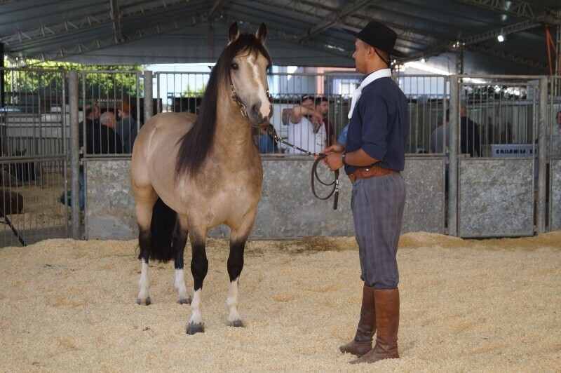 AgroPonte transforma Criciúma na capital do agronegócio em Santa Catarina 