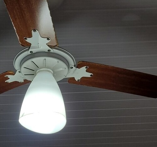 Mudanças na Tarifa Social: veja quem tem direito e o que muda na conta de energia 