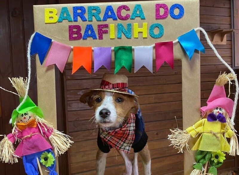 Julipet traz casamento jeca, brindes e festa julina para cães