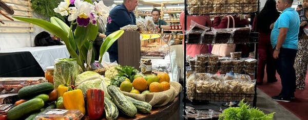 Feira AgroPonte 2025 começa nesta quarta-feira; confira programação
