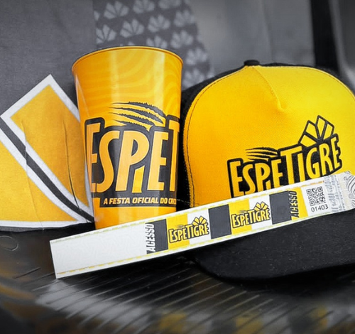 Espetigre 2025: confira atrações da festa do Criciúma