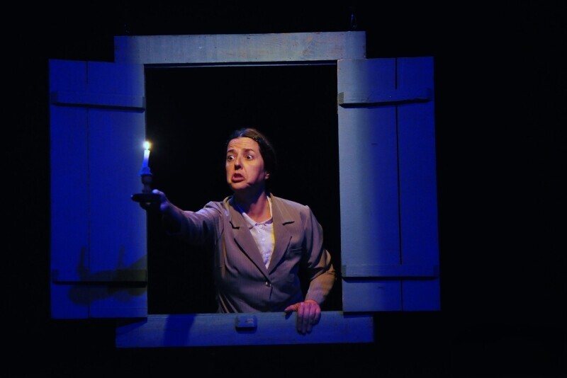 Criciúma recebe espetáculos gratuitos da atriz Vanderleia Will