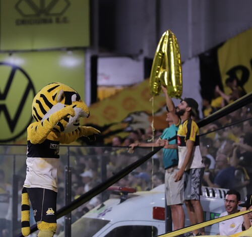 Ingressos gratuitos e solidários: Criciúma faz ações promocionais para duelo diante do Botafogo-SP