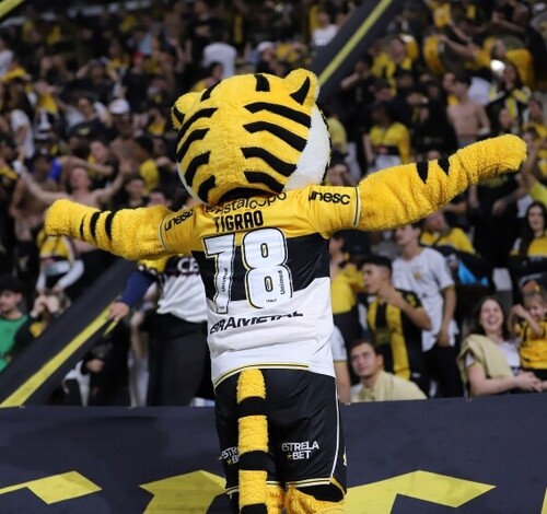 Criciúma x Botafogo-SP: onde assistir ao vivo jogo da Série B do Brasileiro