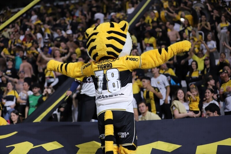 Criciúma x Botafogo-SP: onde assistir ao vivo jogo da Série B do Brasileiro