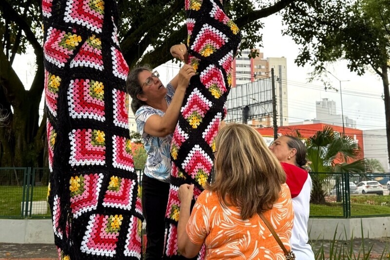 Em Criciúma, árvores ganham cores e texturas com projeto natalino da Afasc