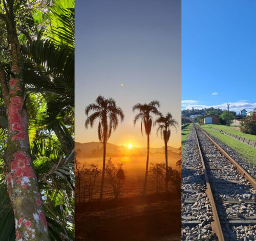 Morro da Fumaça divulga vencedores do concurso fotográfico ambiental