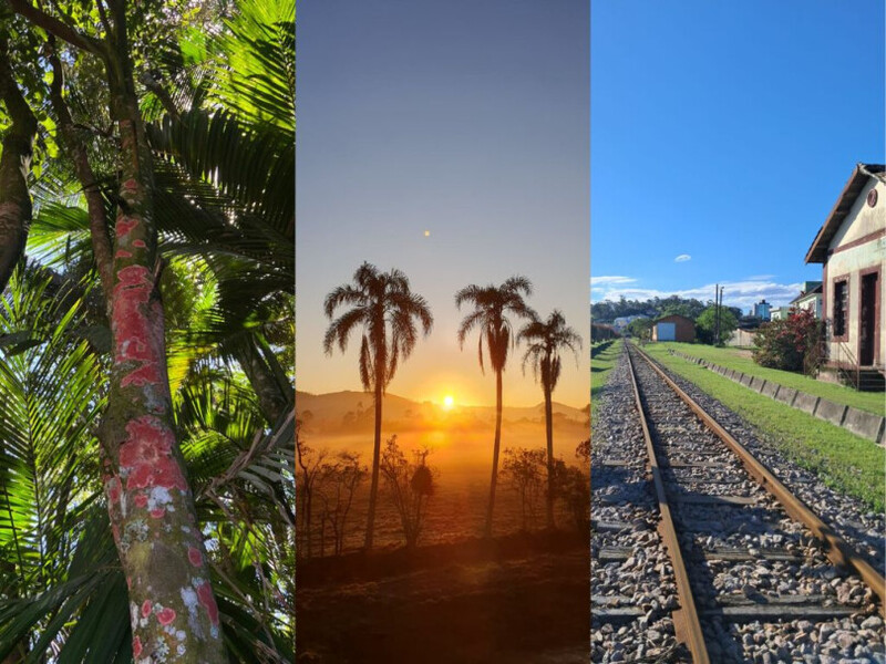 Morro da Fumaça divulga vencedores do concurso fotográfico ambiental
