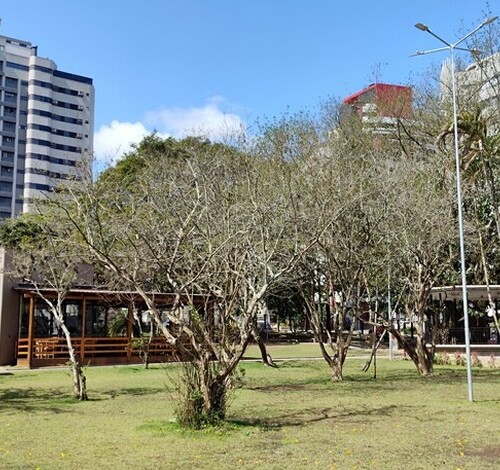 Cosplay, feira, música e solidariedade na Praça do Congresso