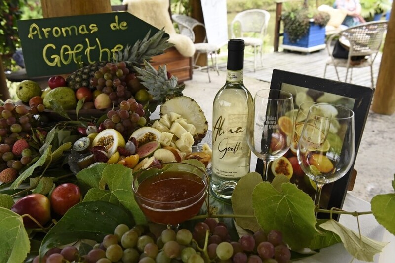 18ª Vindima Goethe celebra tradição e enogastronomia