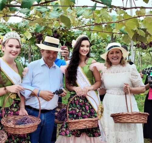 Vindima Goethe celebra colheita e certificação com Denominação de Origem