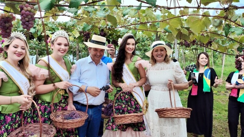 Vindima Goethe celebra colheita e certificação com Denominação de Origem