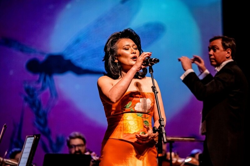 Camerata Florianópolis abre temporada de espetáculos 2026 com diversidade musical 