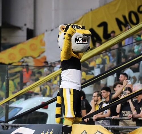 Criciúma x Concórdia: ingressos e como assistir ao vivo jogo do Campeonato Catarinense 2026