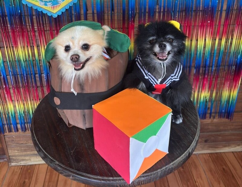 Carnapet traz desfile e concurso de fantasias ao Nações Shopping