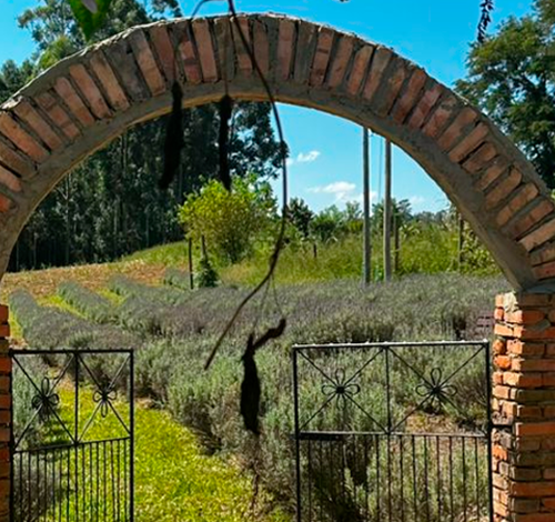 NEPI une turismo e bem-estar feminino em Morro da Fumaça