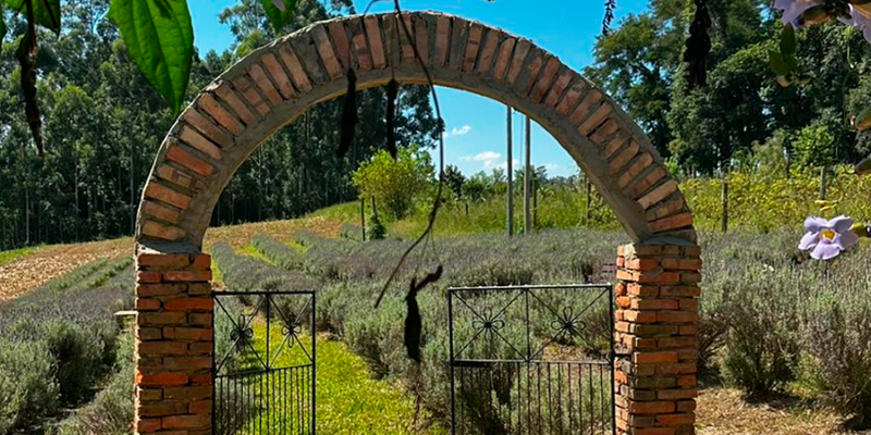 NEPI une turismo e bem-estar feminino em Morro da Fumaça