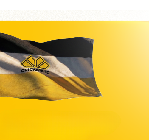 Criciúma lança projeto para construir maior bandeirão do futebol brasileiro