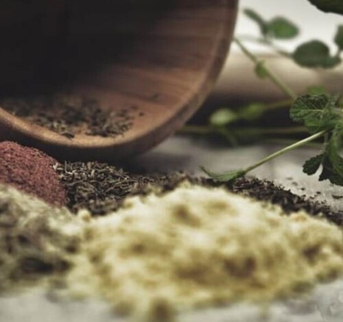 Uso de ervas medicinais na saúde feminina pauta palestra gratuita