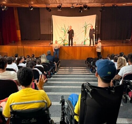 Teatro acessível: Festival AnimaMão amplia inclusão cultural