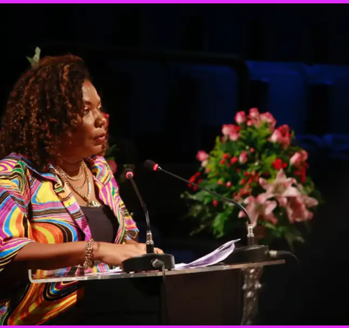 Alesc promove encontro da Cultura catarinense com a ministra Margareth Menezes