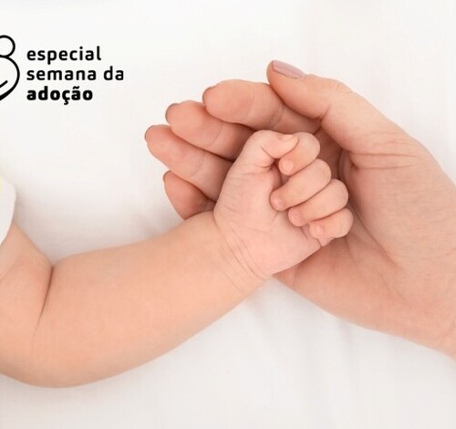 Entrega Legal garante acolhimento, sigilo e proteção à mulher e à criança em SC