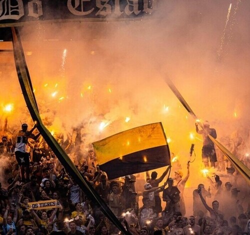 Criciúma anuncia promoção com ingressos gratuitos para jogo contra o Londrina