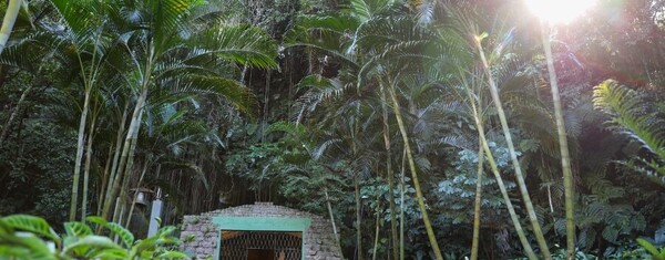 Visite a Gruta Nossa Senhora de Lourdes, patrimônio histórico e religioso de Criciúma