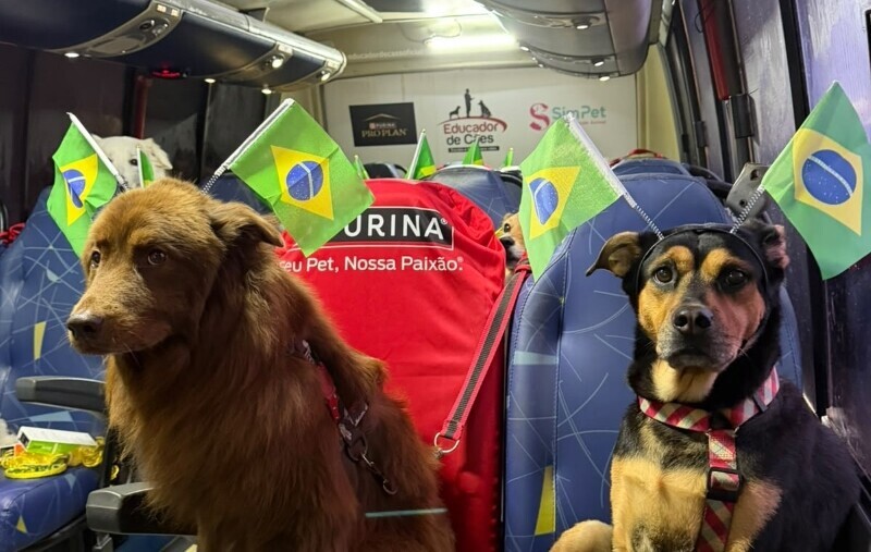 Pets entram no clima da Copa do Mundo em evento gratuito no Nações Shopping