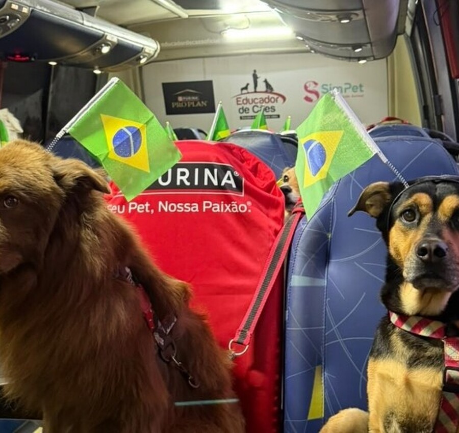 Pets entram no clima da Copa do Mundo em evento gratuito no Nações Shopping