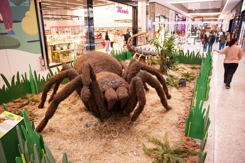 Insetos gigantes invadem o Nações Shopping em exposição gratuita