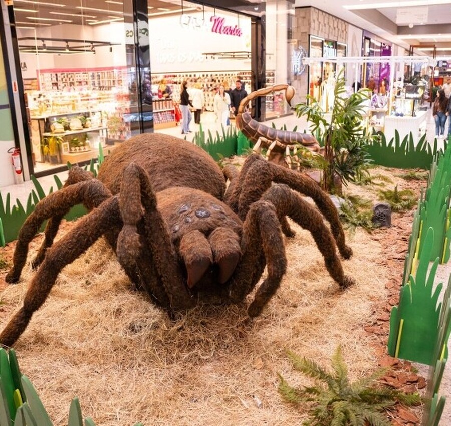 Insetos gigantes invadem o Nações Shopping em exposição gratuita