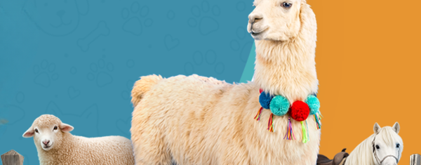 Pet Days 2026 em Tubarão terá Lhama Rodolfo, fazendinha e atividades gratuitas; confira programação