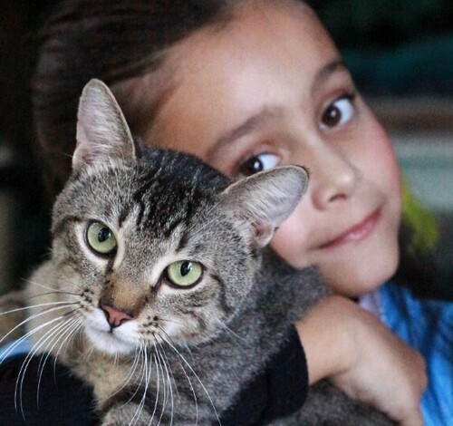 Bingo, leilão e almoço: evento beneficente busca fortalecer ações em defesa dos animais