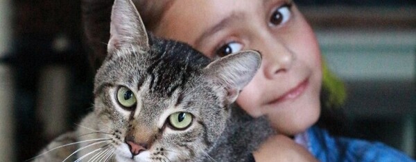 Bingo, leilão e almoço: evento beneficente busca fortalecer ações em defesa dos animais