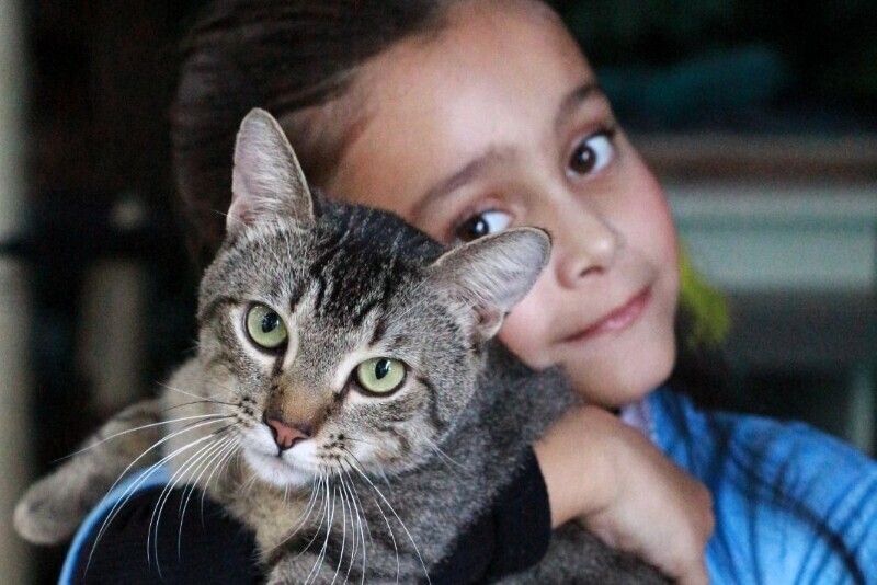 Bingo, leilão e almoço: evento beneficente busca fortalecer ações em defesa dos animais
